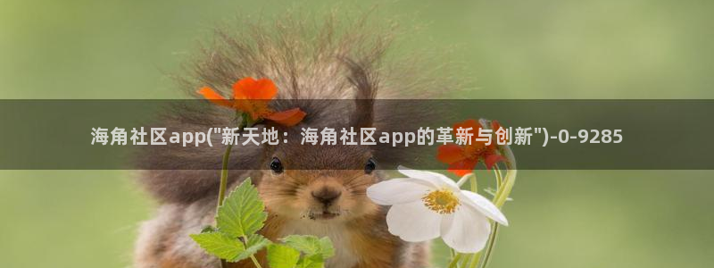 网络海角社区：海角社区app(\